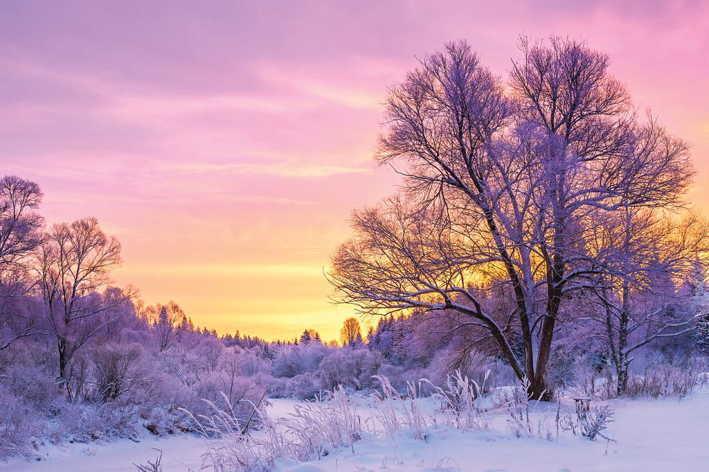 shutterstoc_080
