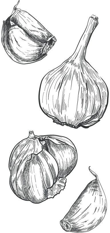 f0026-01