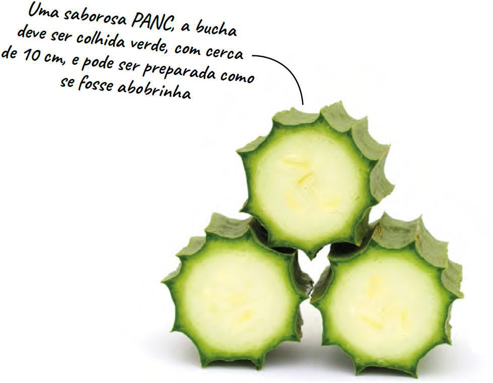 f048-01