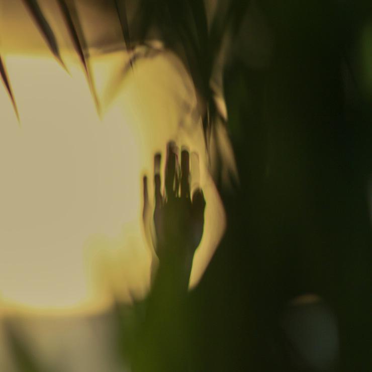 Beyond Addiction: How Drug Abuse Affects Those Around You, by Lynda Arbon. Photograph of person's hand in silhouette, by Andrei Lazarev