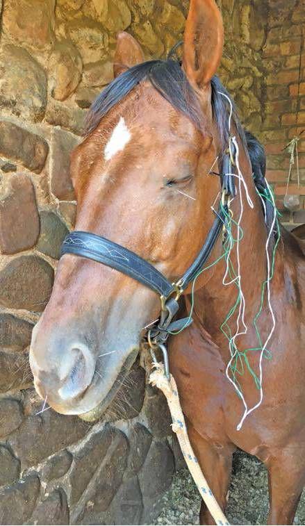 farmweekza200124_article_052_01_01
