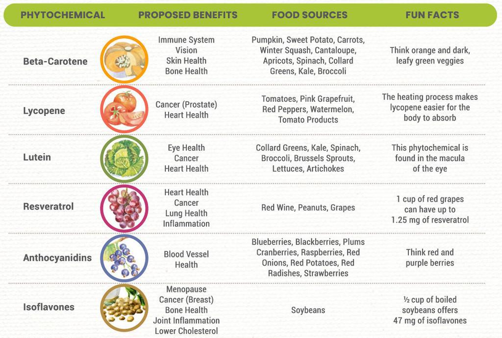 Phytochemicals - Plant-Based Spotlight | Everand