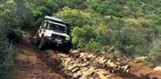 sa4x41901_article_088_01_01