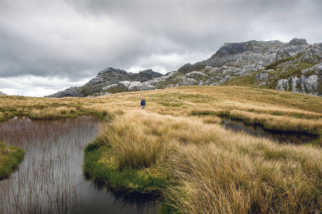 pmpwilderness1908_article_048_01_05