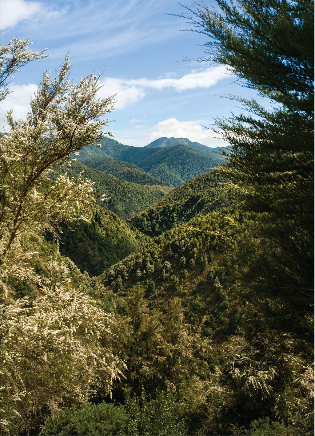 pmpwilderness1908_article_048_01_02