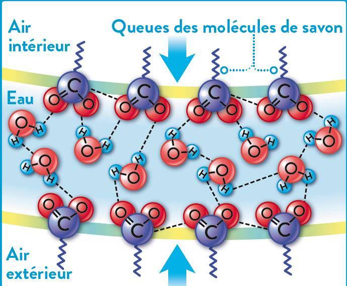 sciviejunfr2009_article_040_02_01