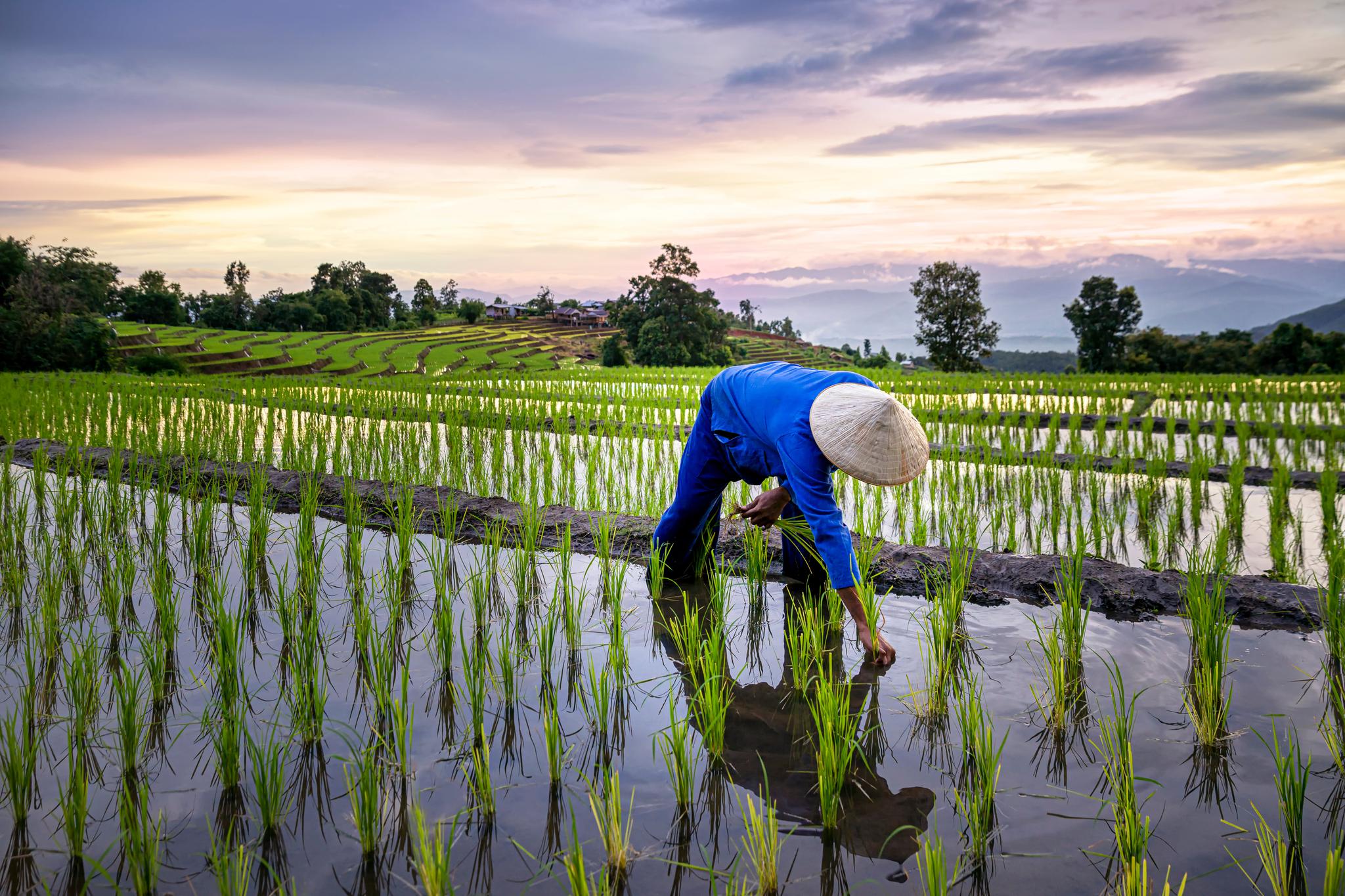 Getty Images/iStockphoto