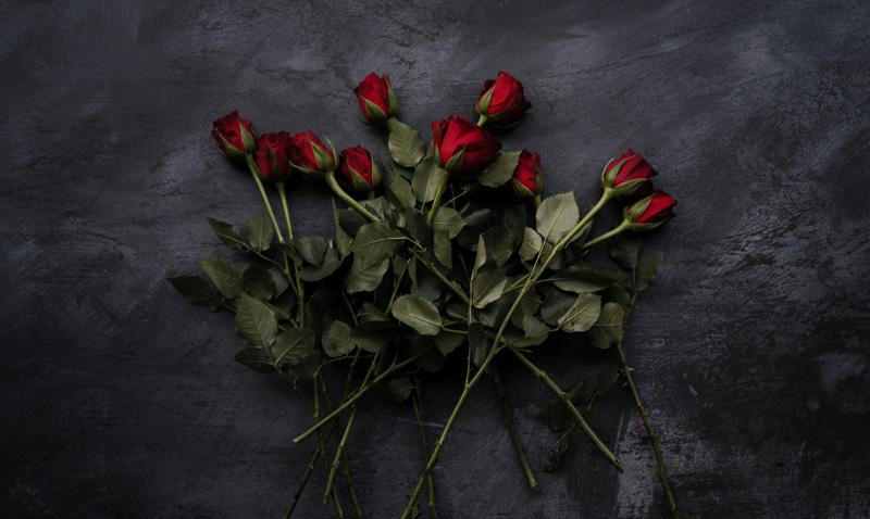 Winning An Emotional Struggle with Partnership, Love and Self-Love, by Jennie Peterson. Photograph of roses by Annie Spratt