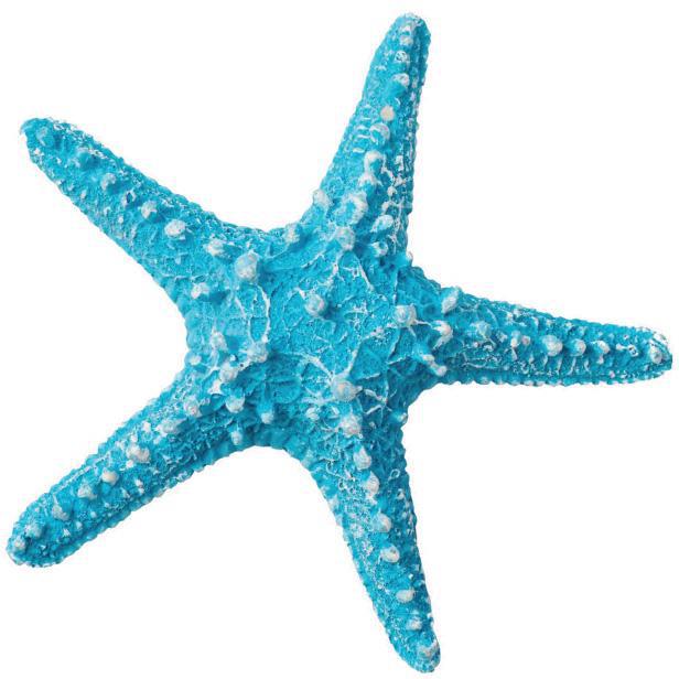 f0050-01