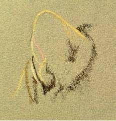 artdrainsau171201_article_044_01_19