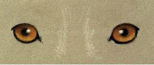 artdrainsau171201_article_044_01_26