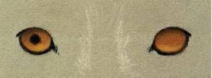 artdrainsau171201_article_044_01_25