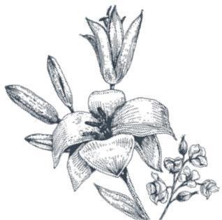 f0030-01