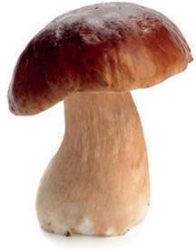 f0066-02