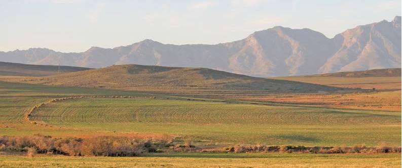 farmweekza210219_article_022_01_01