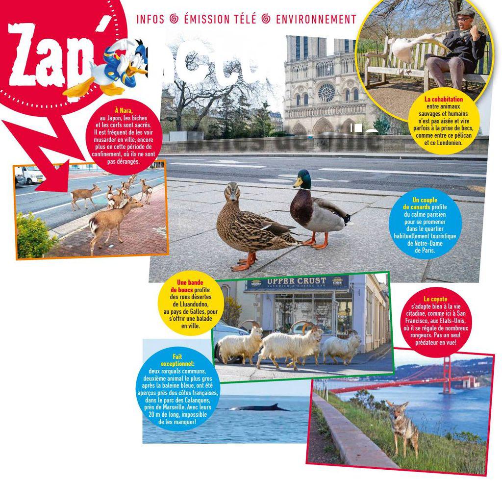 lejoudemicfr200506_article_026_01_01