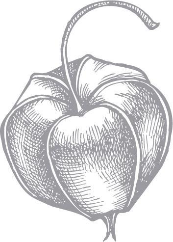 f0074-03