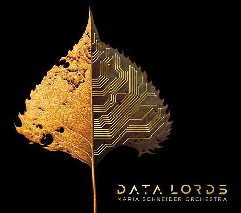 1-mso_data__040