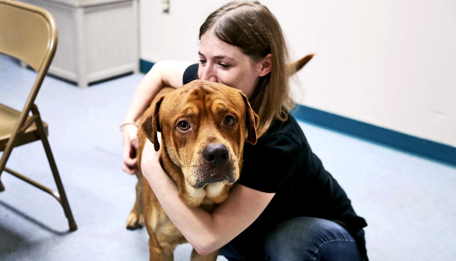 Researcher Sam Cohen with a dog at a shelter