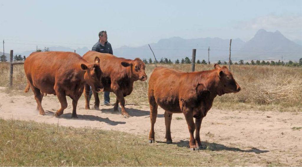 farmweekza200117_article_040_01_01