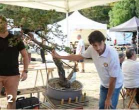 espbon201001_article_019_01_02