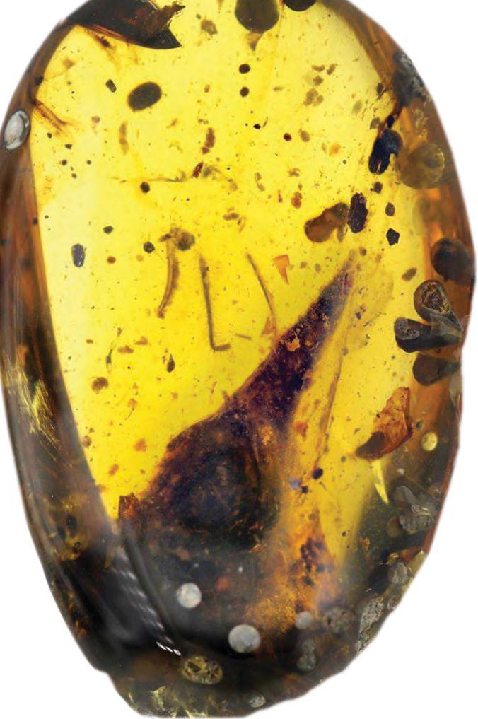 f0014-01
