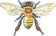 hortius201101_article_058_01_01