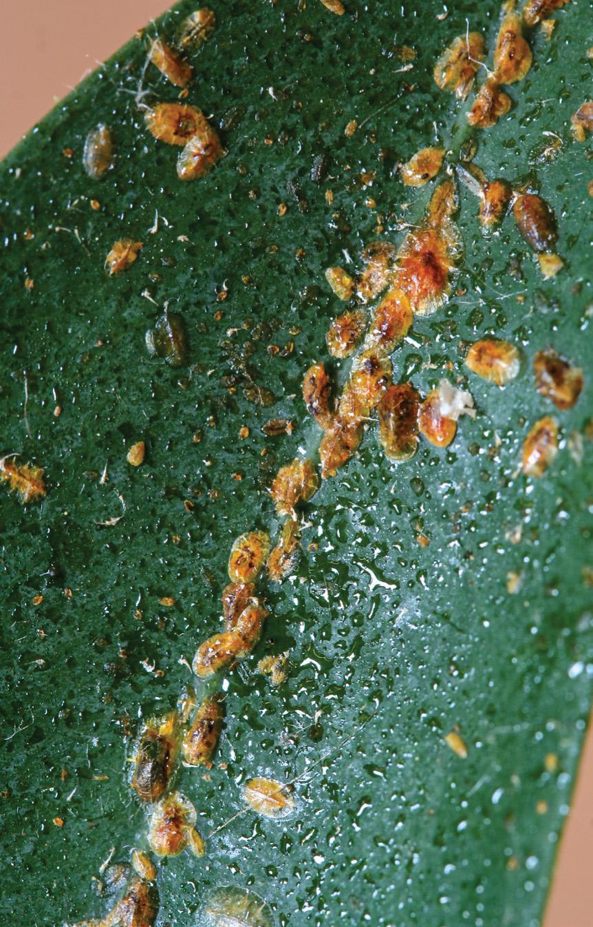 f0099-04