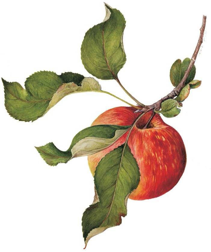artistpalau1801_article_066_01_01