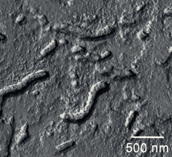 f0007-03