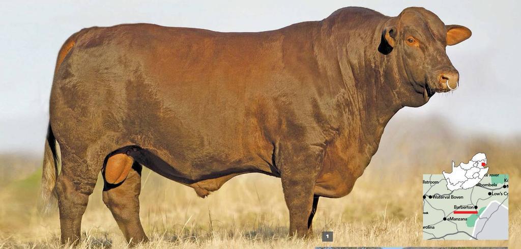 farmweekza201009_article_044_01_01