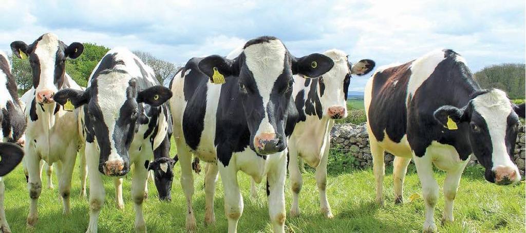 farmweekza201016_article_010_01_01