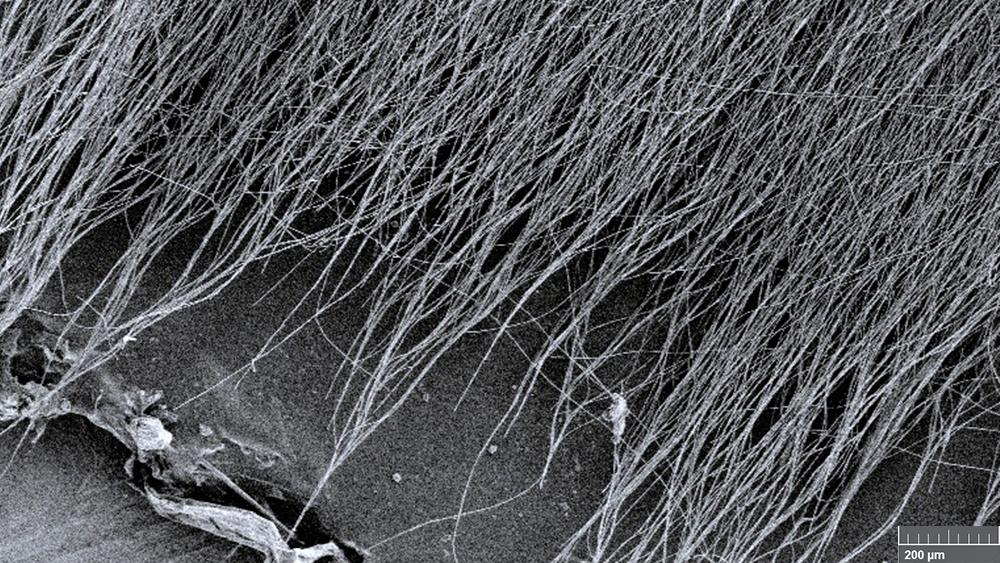 The tiny fibers in the antioxidant mats all go in the same direction