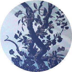 f0094-02