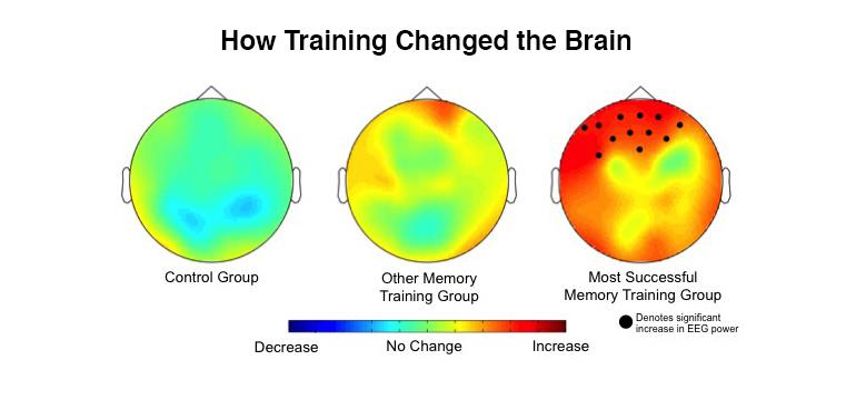 EEGs compare brain training methods