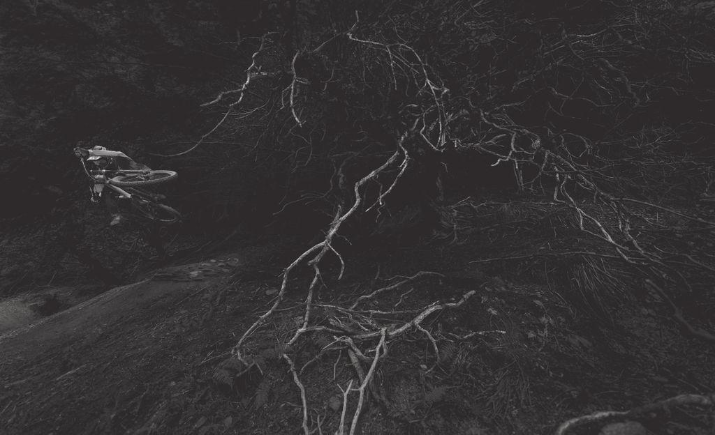 f0022-01