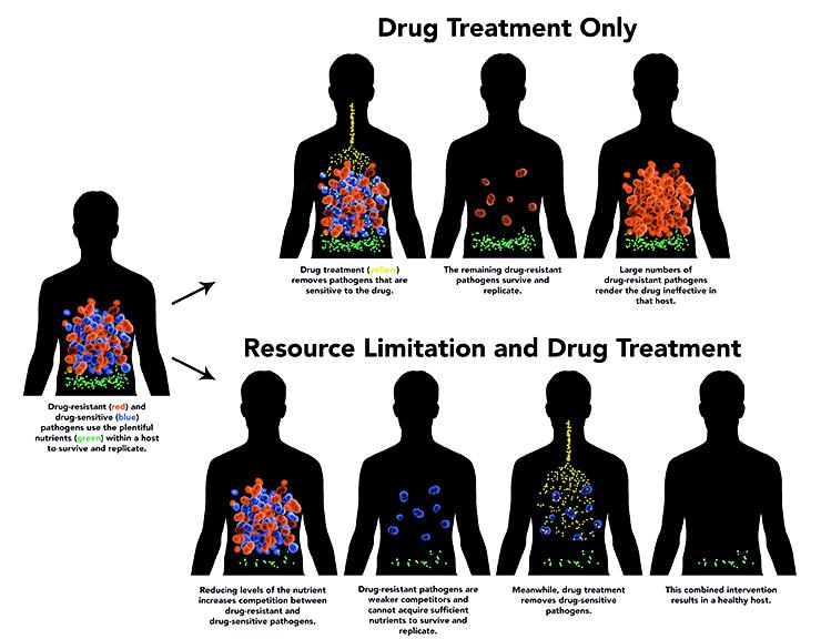 limiting pathogen resources (fighting drug resistance)