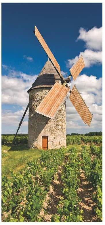 decantuk2004_article_050_01_05