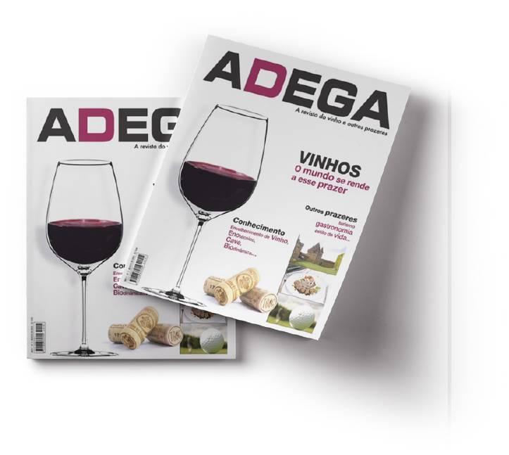 adega2011_article_034_01_01