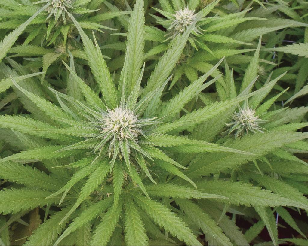 thc2011_article_044_01_01