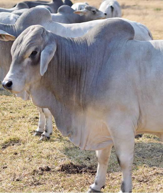 farmweekza201023_article_008_01_01