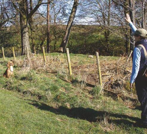 sportgunuk2009_article_058_02_01