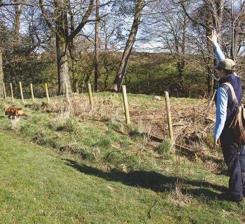 sportgunuk2009_article_058_02_02