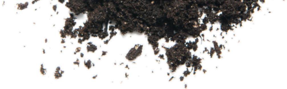 f0010-03