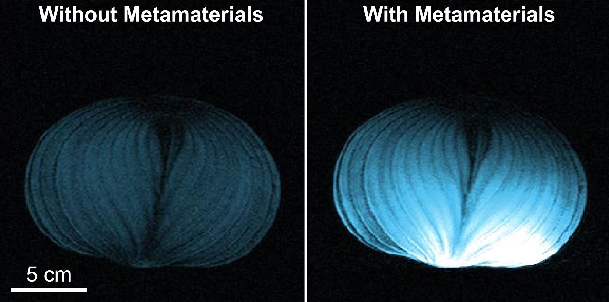 On the left, the onion appears only faintly. On the right, the onion appears bright blue, with much more detail visible.