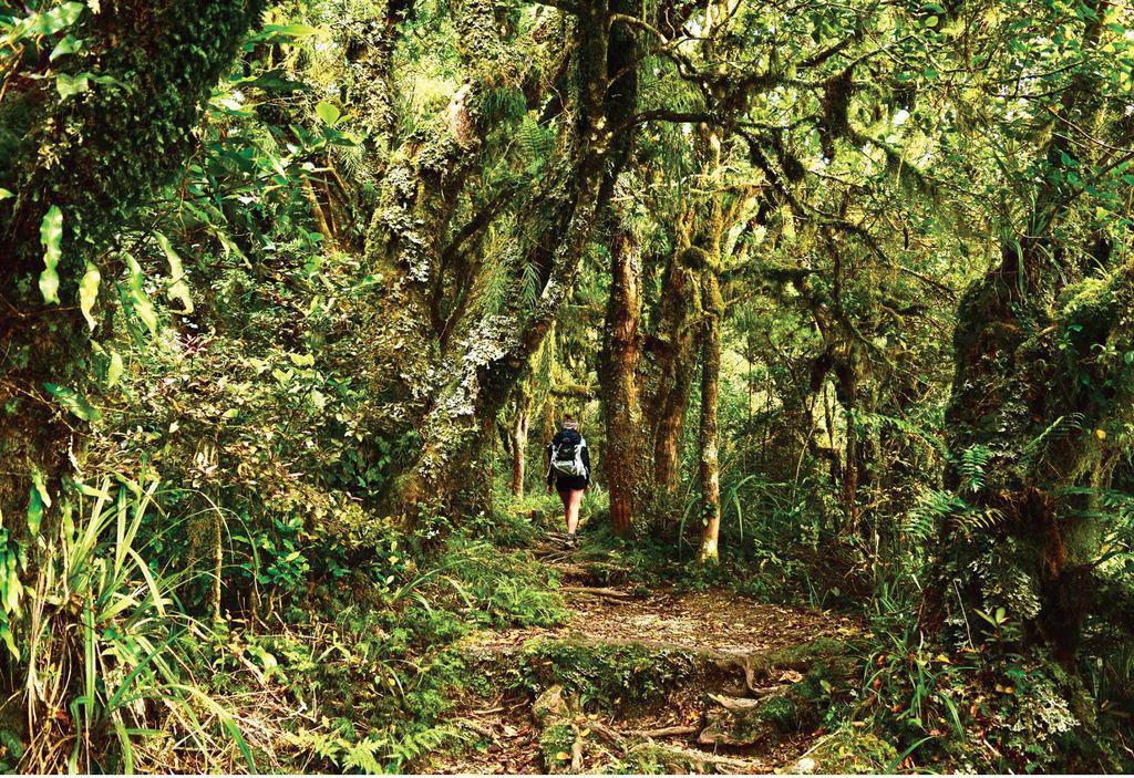 pmpwilderness1910_article_037_01_02