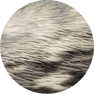 f0076-03 f0076-03