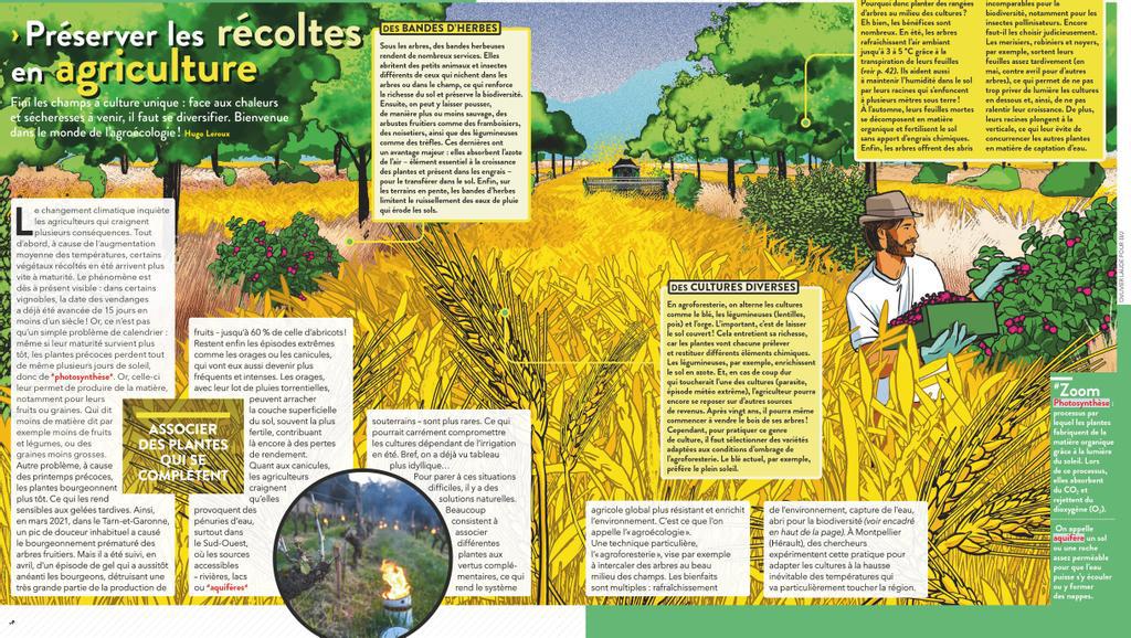 sciviejunfr2207_article_044_01_01