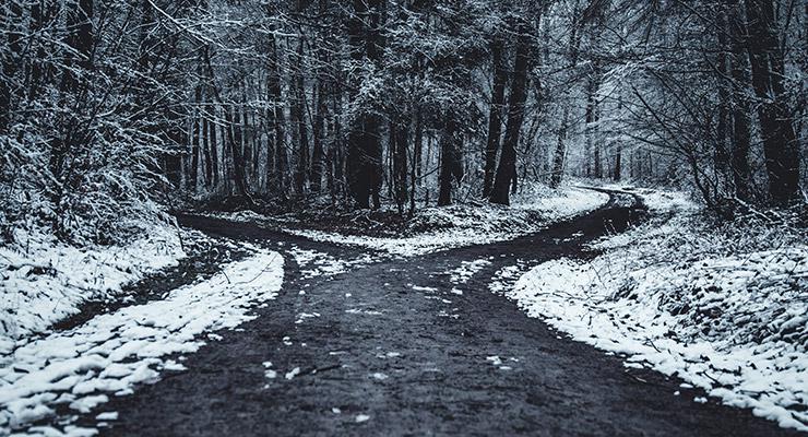 Choosing to Live, by Dain Heer. Suicide. Photograph of fork in road by Oliver Roos