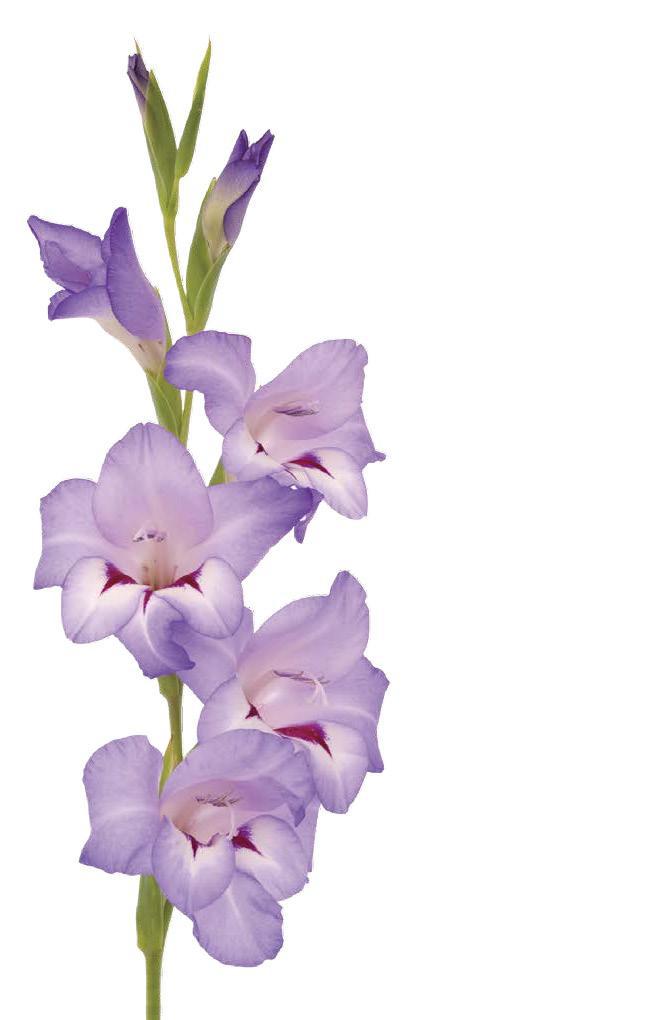 f022-01